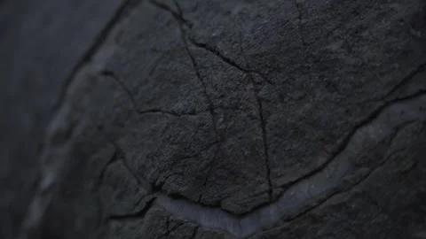 Dark Limestone Surface with Fine Natural Textures Stock Footage 289840263