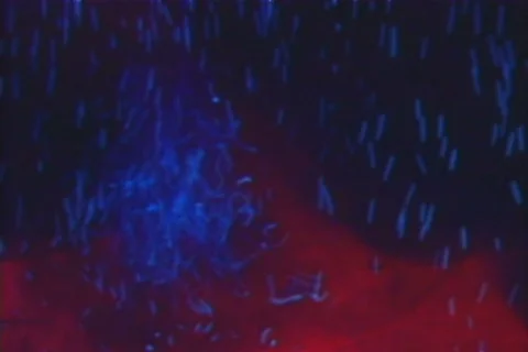 Dark Liquid Ink Stock-Footage 197830