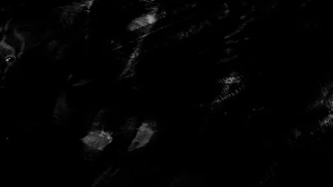 Dark liquid ripple texture with black and white organic motion, fluid waves.. Stock Footage 346659331