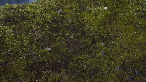 Dark little waterfall Stock Footage 99397223