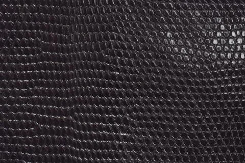 Dark Lizard Skin Pattern Stock Photos