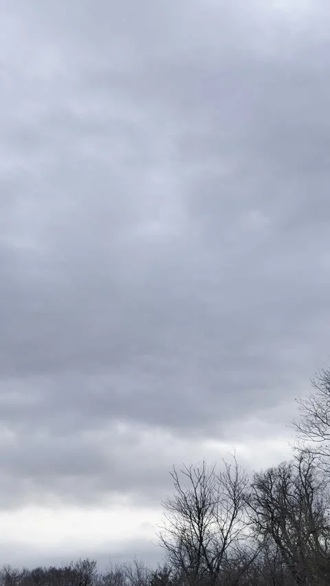 Dark Low Storm Clouds Above Tree Line Видео 344807545
