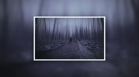 Dark man in forest framed with rain drops Stock Footage 40691204