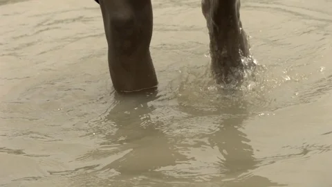 Dark man walking in the shallow water in slow motion Stock Footage 81230628