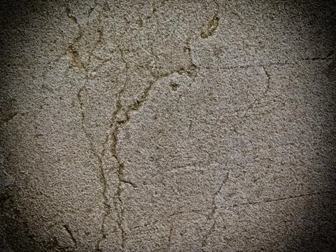 Dark Marble Texture In The Garden 스톡 사진