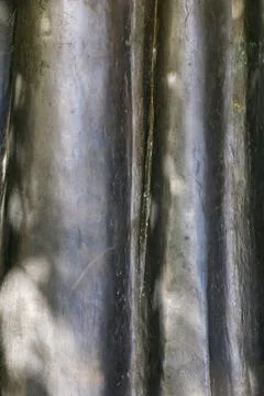 Dark metallic surface close-up with textured folds, scratches and shiny hig.. Stock Photos