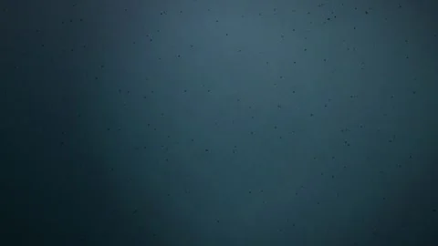 Dark microscopic particles float slowly in a seamless loop Stock-Footage 342949128