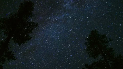 Dark milky way behind pair of pine tree silhouettes in the Wallowa Mountains Video stock 81612592