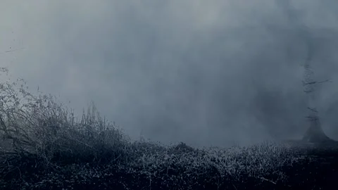 Dark mist landscape 動画素材 231069714