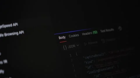 Dark mode computer screen displaying JSON data structure and API response d.. Stock Footage 318832031