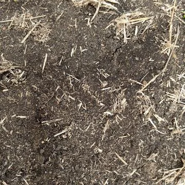 Dark moist earth soil texture dead plant debris dry grass top down 写真素材