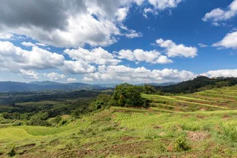 Dark Monsoon Clouds over Rice Terraces Stock Photos
