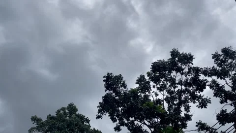Dark Monsoon Storm Clouds Rolling Over Dark Silhouette Treetops Stockbeeldmateriaal 346237507