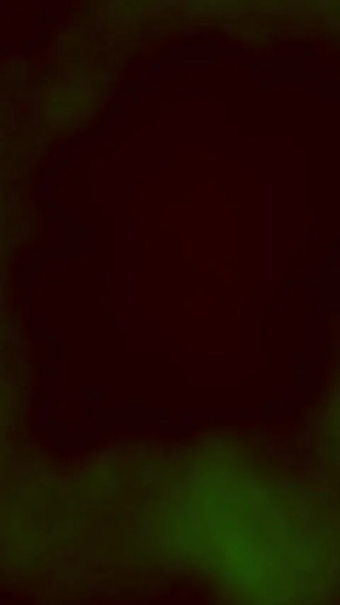 Dark moody abstract background with green and red tones Stock Footage 328390978