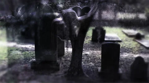 Dark Moody Halloween Graveyard Stock Footage 139873671