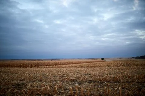 Dark moody landscape of maize fields in autumn Stock Photos