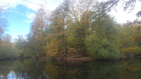 Dark Moody View Of Calm River Flowing Through Dense Forest At Dusk Stockbeeldmateriaal 348136474