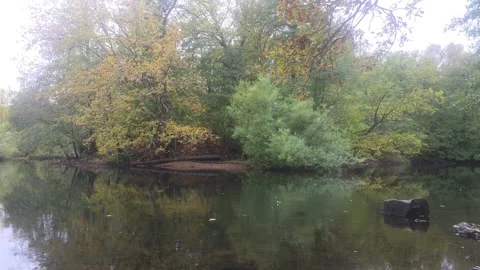 Dark Moody View Of River Channel Surrounded By Thick Trees Stock Footage 348068655