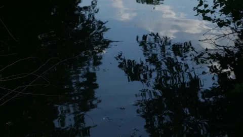 Dark Moody Water Reflection of Trees and Sky Stock Footage 321055447