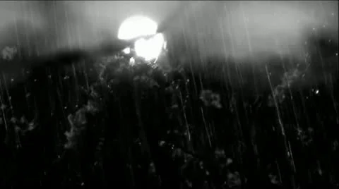 Dark Moon Lite Tropical Rain Storm Stock Footage 11486984