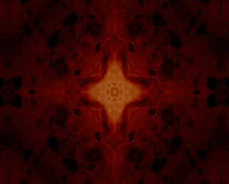 Dark Motives Video stock 104244