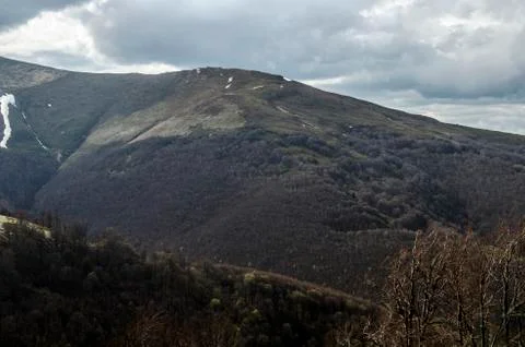 Dark mountain forest Stock Photos