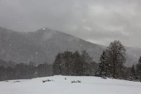 Dark mountains loom through falling snow, creating a monochromatic tableau .. Stock Photos