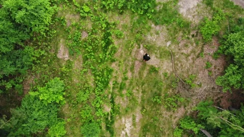 Dark Mower From Hell. Grim Reaper In Forest. Aerial Topdown Stock Footage 212366977