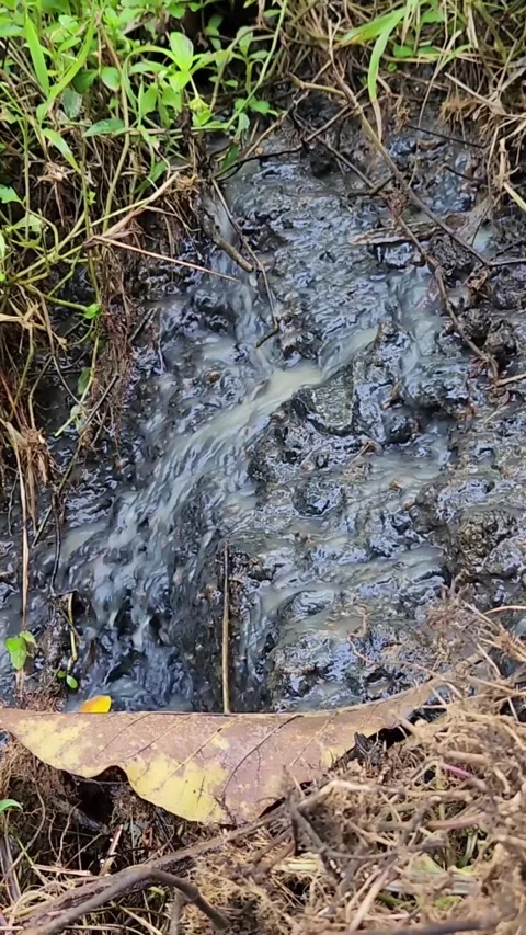 Dark muddy runoff flowing through wet soil ditch with wild grass. Stock Footage 325750561