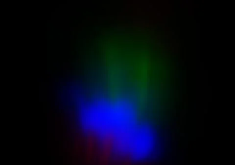 Dark Multicolor, Rainbow vector blurred shine abstract pattern. 스톡 일러스트