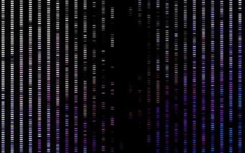 Dark Multicolor, Rainbow vector layout with flat lines. Stock Illustration