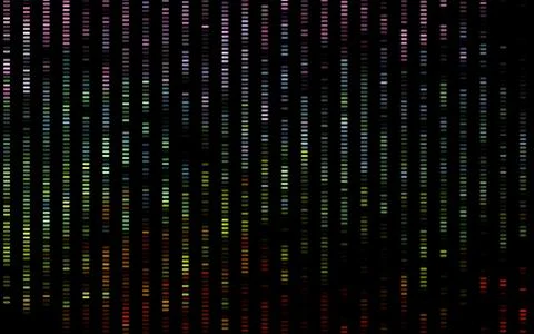 Dark Multicolor, Rainbow vector layout with flat lines. Stock Illustration