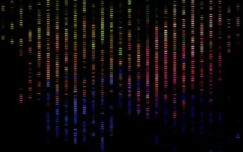 Dark Multicolor, Rainbow vector pattern with narrow lines. Stock Illustration