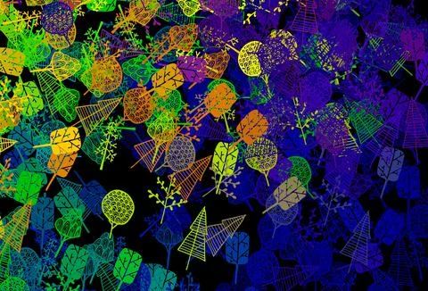 Dark Multicolor vector doodle pattern with trees, branches. Illustrazione stock