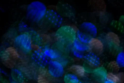 Dark multicolored bokeh. 스톡 사진