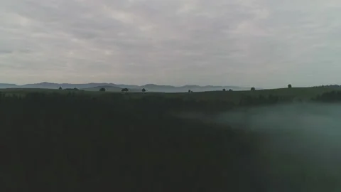 Dark mysterious burned forest landscape. Forest in Fire, Burning Trees, Bushes Stock Footage 160767261