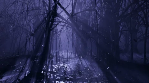 Fog Forest Misty Jungle At Night 3d Illustration Of Dark Trees In Thick  Backgrounds