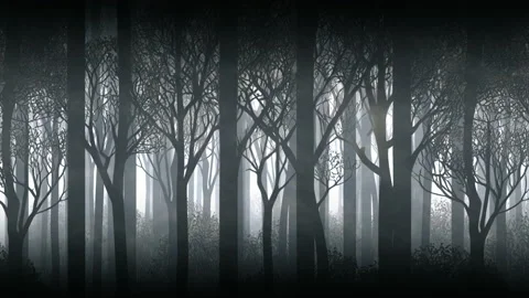 Dark mystical shady forest with trees and bushes cartoon parallax background Stock Footage 225279998