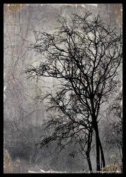 Dark nature collage Stock Illustration