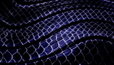 Dark Navy Blue Python Snakeskin Leather Texture with Metallic Scale Pattern.. Stock Illustration