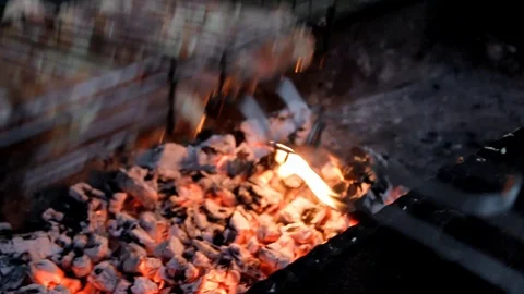 In the dark a net with raw meat lays down on maangal Stock Footage 113231773