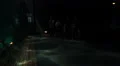 Dark night ambience visitors watching XXL shark fish tank HD Footage