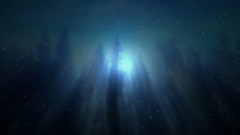 Dark Night Background Stock Footage 102433089