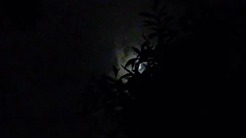 Dark Night Dramatic Sky With Moon Light And Moving Clouds, Time-Lapse. 動画素材 195809519