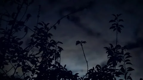 Dark night Video stock 245582217