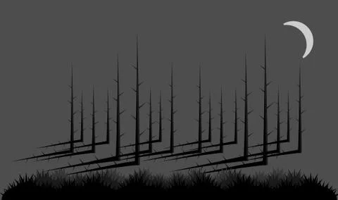 Dark Night Forest Vector Design 스톡 일러스트