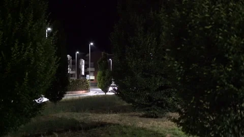 Dark night with green trees in foreground and cars driving in background Stock-Footage 154899836