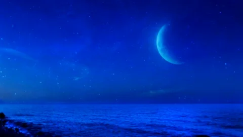 Dark Night half Moon 4k animation video Stock Footage 225067977