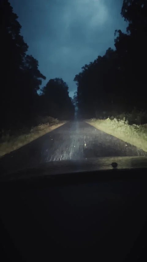 Dark Night Journey Stock Footage 311674546