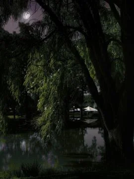 Dark night landscape Stock Photos